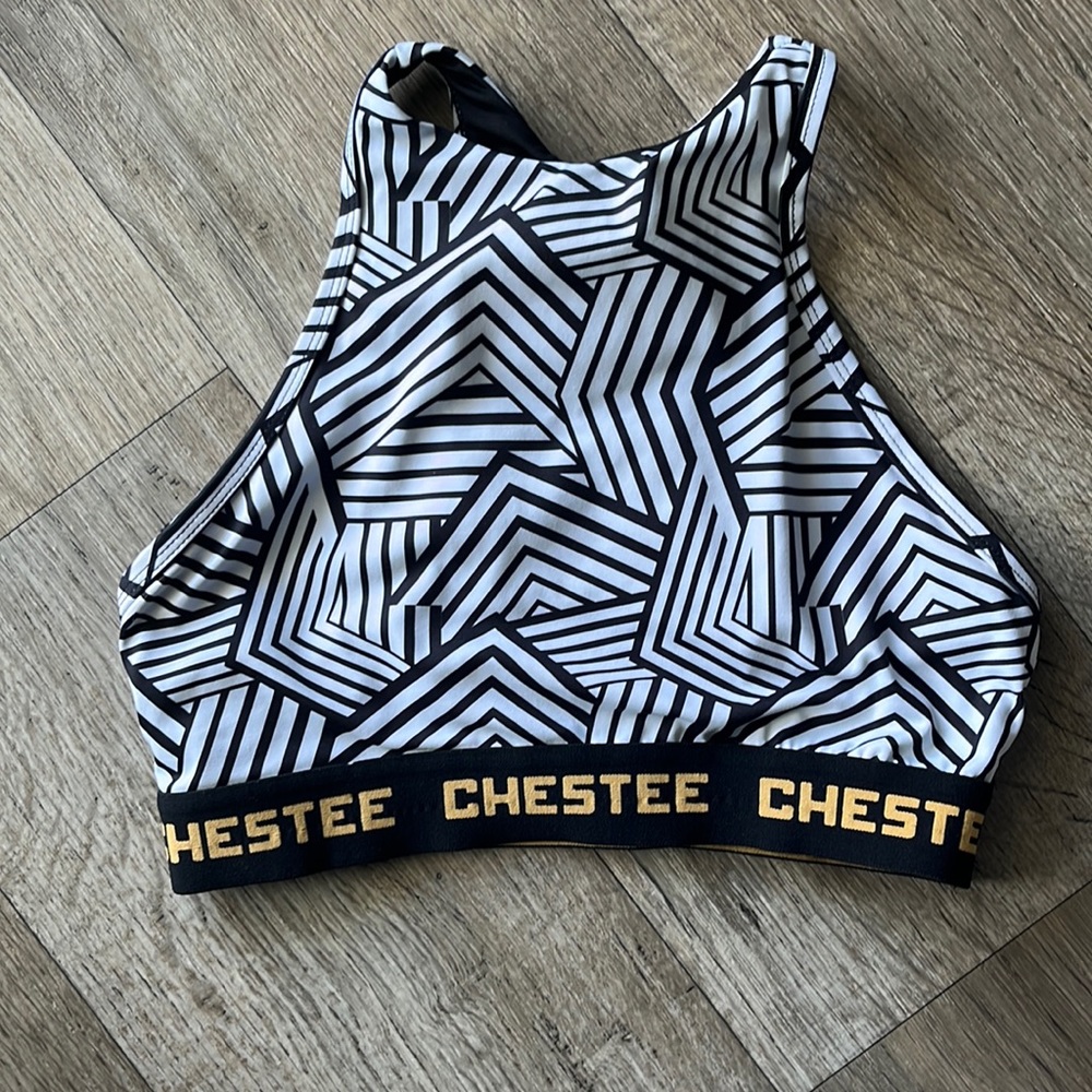 The Chestee bra size 8 tag removed and pads not included